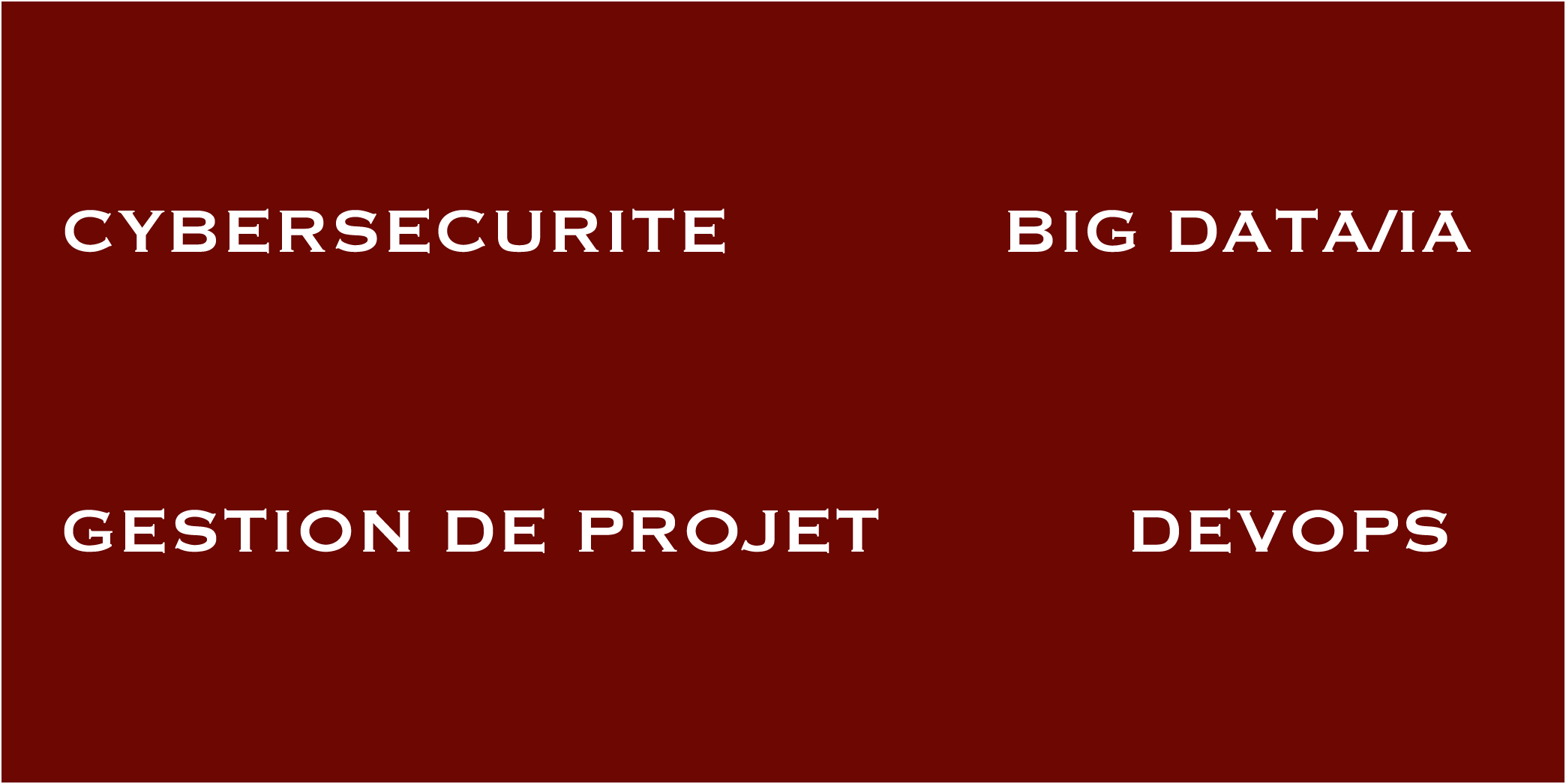 COMPETENCE IT DROITE copie 2