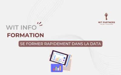 Se former rapidement dans la Data